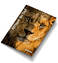 AFRIQUE SUD